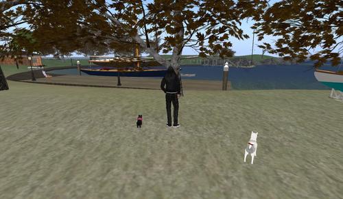 Web 5c78c898d774f83436000001