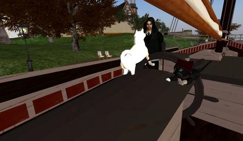 Web 5c78cf9673ed175ac0000001