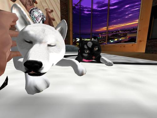 Web 5ce9eca8d9859c6503000001