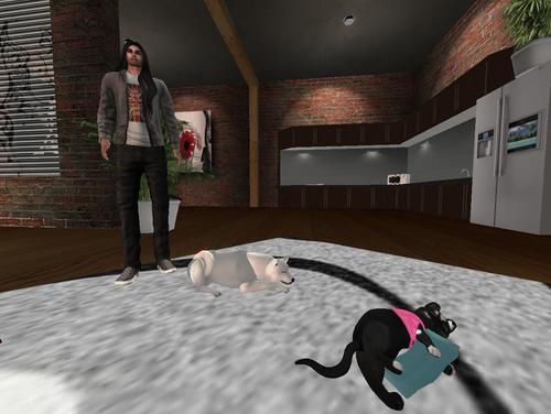 Web 5d12011bd9859c541b000001