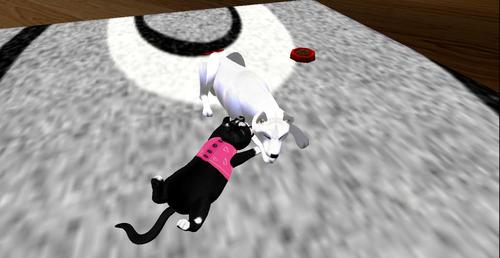 Web 5d28ae8c289dd22b9e000001