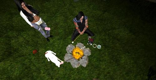 Web 5d3d6298d774f84c24000001