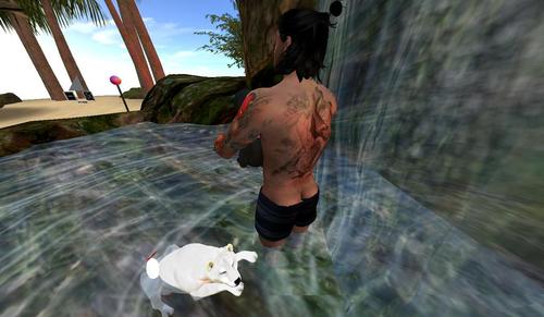 Web 5d5e221b73ed171d63000001