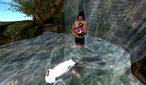 Web 5d5e22aed774f847d7000001