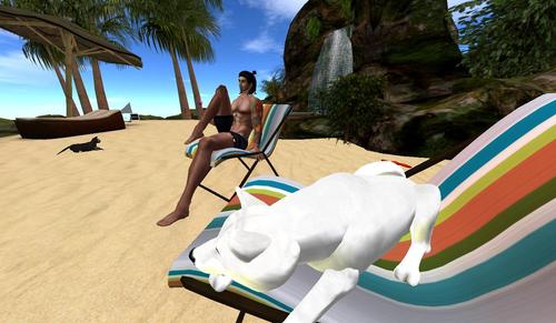 Web 5d5e2762d774f85f33000001