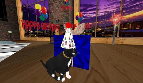 Web 5d6b78ad289dd217b7000001