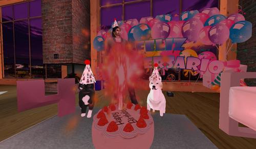 Web 5d6b8077d774f80ad6000001