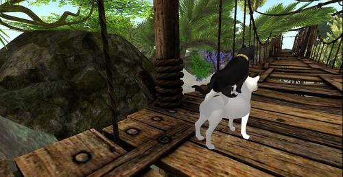 Web 5ee838f0d9859c0fa32943ec