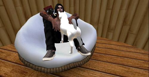 Web 5ee8400dd774f802ee903a47