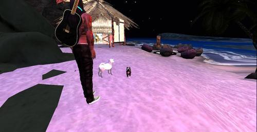 Web 5ee8462c289dd26cd8814ecd