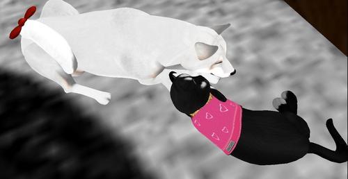 Web 5f00168573ed17033c94a208