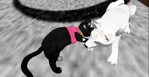 Web 5f001710d9859c4488950663