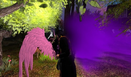 Web 55385418a73e213fbe000001