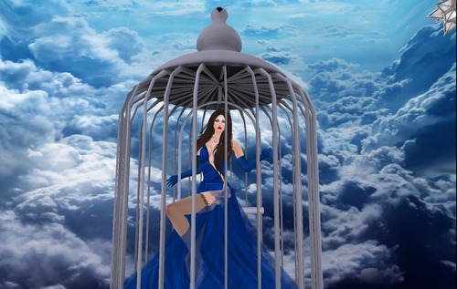 Web 53b9c53fa73e2142a2000001