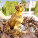 Thumb 635c2e88258d0b723b7be89d