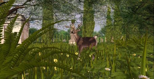 Web 5ef5dd2ad9859c4b963ccfec