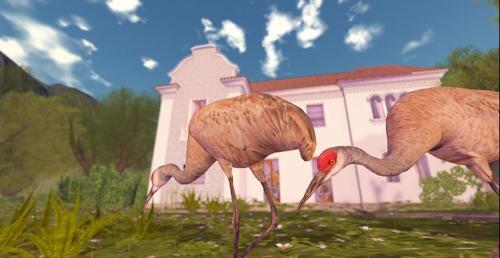 Web 5f09cdc7d774f866fb4f8321