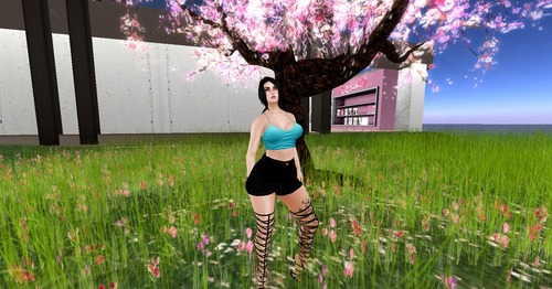 Web 581930dde85cda37fd000001