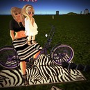 Thumb 566269b8f8a1ec303a000001