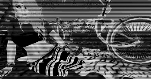 Web 56627b559934e02095000001