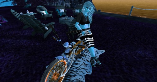 Web 566283c7128cc942dc000001