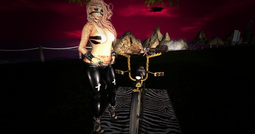 Web 5662e7a13f942f2259000001