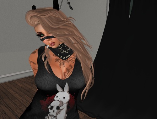 Web 5668450df8a1ec082a000001