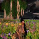 Thumb 619e62e0df72f87e886721b4