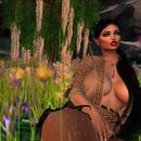 Thumb 619e64cdfc69d643148a4028