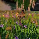 Thumb 619e7bec3509d7614bce5b1f