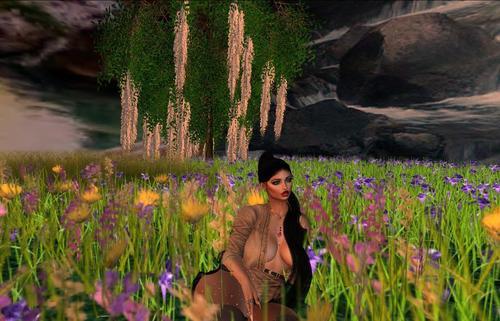 Web 619e62e0df72f87e886721b4