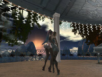 Small 65ab453295dcc903364c7984