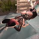 Thumb 6191925e28021b13d4d51c63