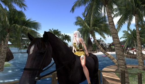 Web 54888c00128cc97b85000001