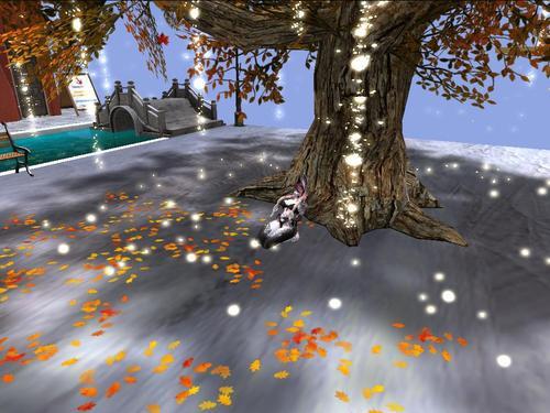 Web 619280083509d73d9fce5b1f