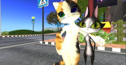 Web 5f439e2fd774f852384a4aaa