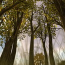 Thumb 574cd7f1f8a1ec20f9000001