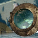 Thumb 57646f58e85cda52bf000001