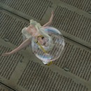 Thumb 576474dff8a1ec1274000001