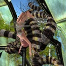 Thumb 577a9d10b0154017ea000001