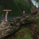 Thumb 579a9d4be85cda58c4000001