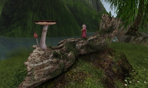 Web 579a9d4be85cda58c4000001