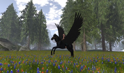 Web 57a11670f8a1ec0f40000001