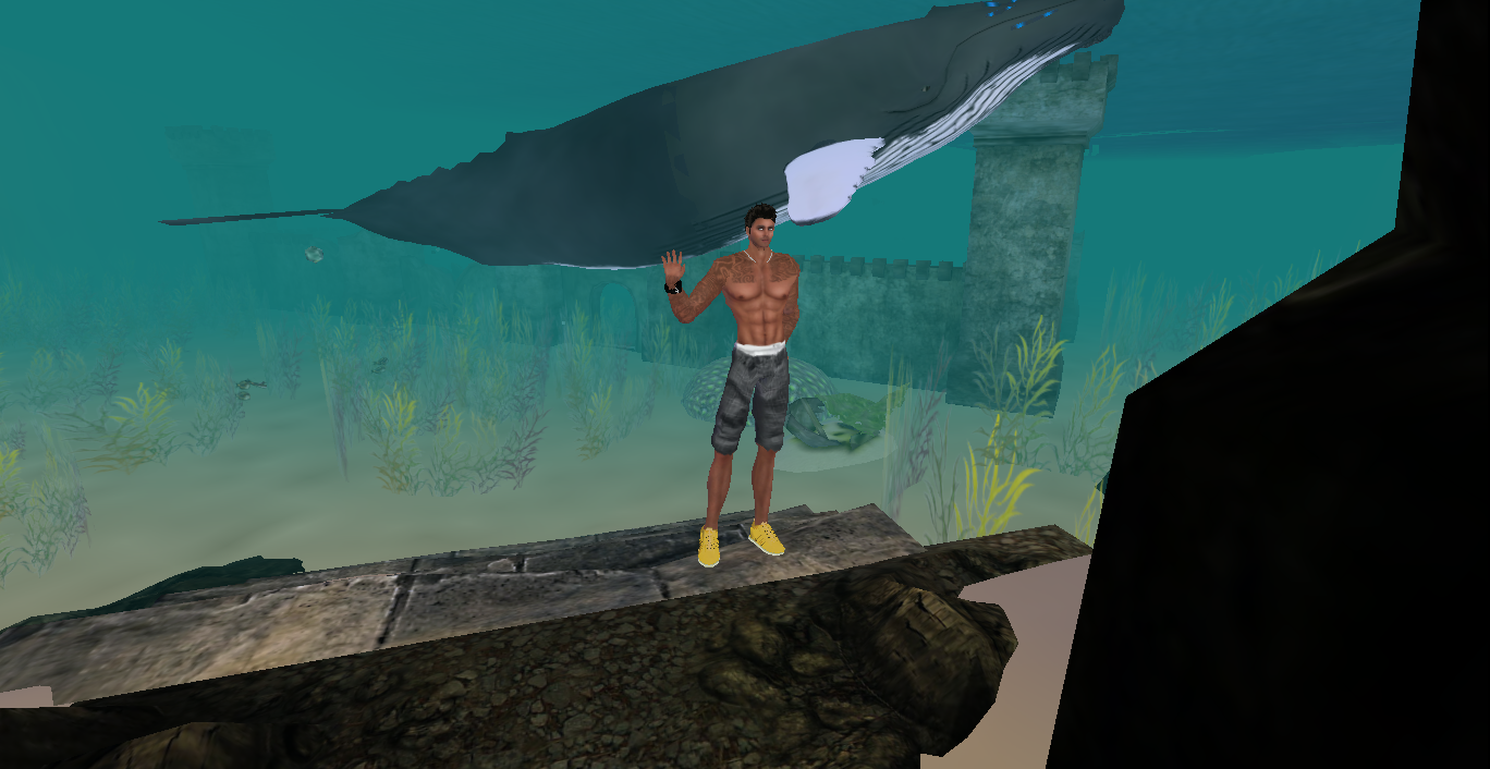 Original 54616eebf8a1ec389c000001