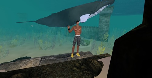 Web 54616eebf8a1ec389c000001