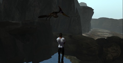 Web 54716199128cc9140e000001