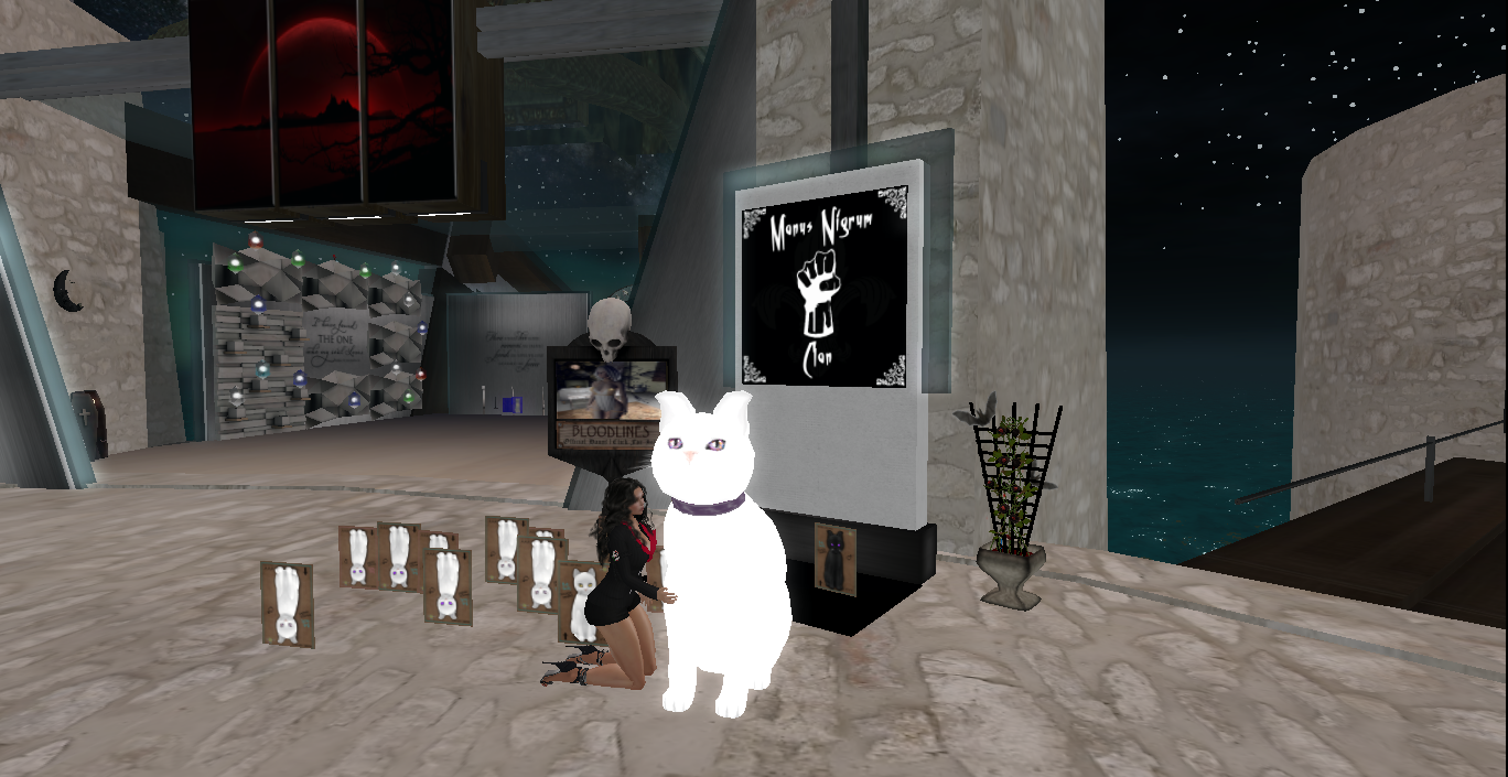 Original 6643f04ab6f8aa3fc9c7c337