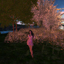 Thumb 663ea7125313f25046ed3a61