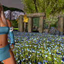 Thumb 67894bee3ed4fb0a00f3f1c2