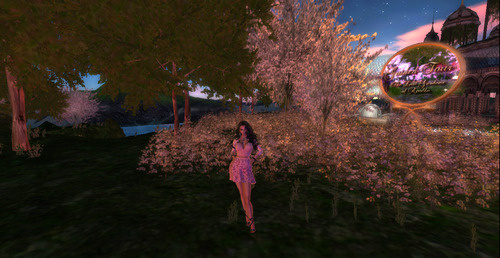 Web 663ea7125313f25046ed3a61